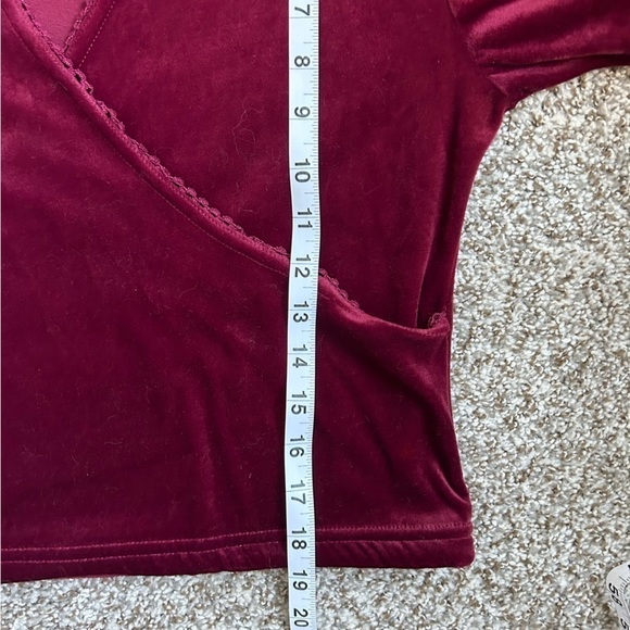 Planet Love Red Velvet V-Neck Long Sleeve Crop Top Medium Holiday Vintage - Picture 6 of 7